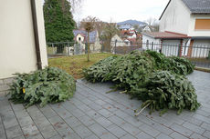 Es weihnachtet in St. Crescentius (Foto: Karl-Franz Thiede)